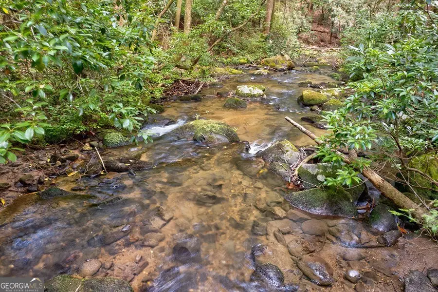 0 Wolf Pen Trail, Ellijay, GA 30540 - #3