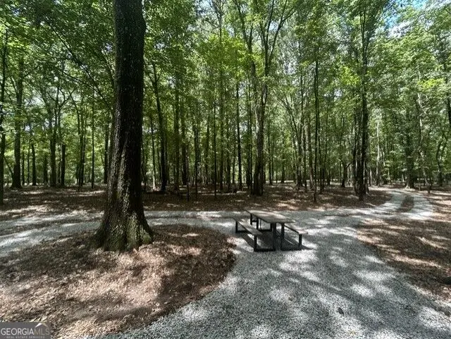 338 Adams Road, Union Point, GA 30669 - #2
