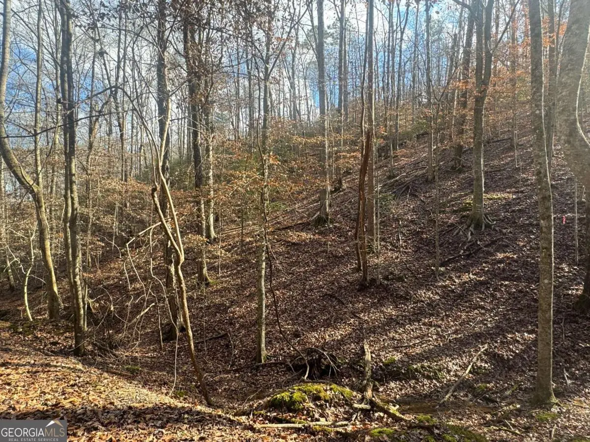 LOT 2749 Nimrod Court, Ellijay, GA 30540 - #1