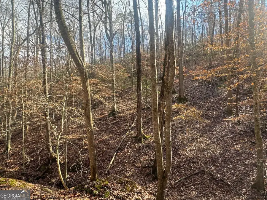 LOT 2749 Nimrod Court, Ellijay, GA 30540 - #2