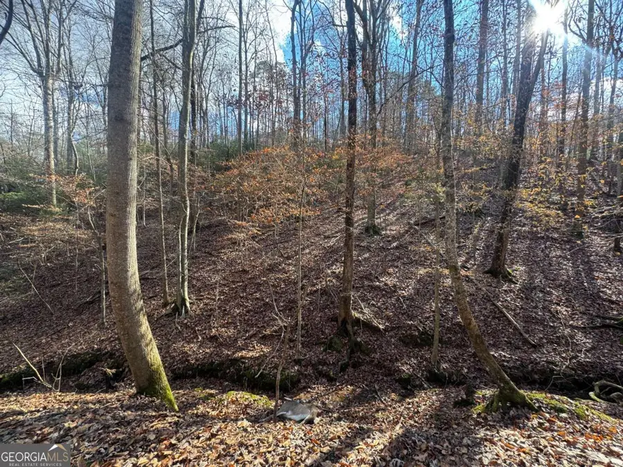 LOT 2749 Nimrod Court, Ellijay, GA 30540 - #3