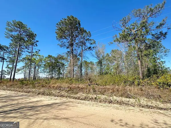 0 Golf Road, Baxley, GA 31513