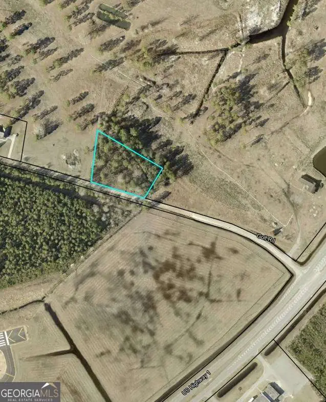 0 Golf Road, Baxley, GA 31513 - #3
