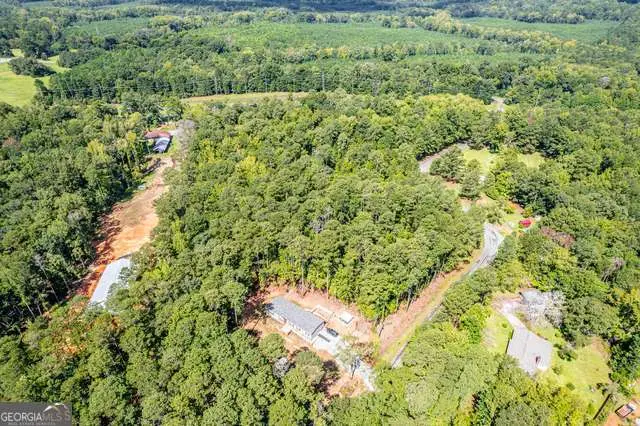 0 Braswell Lake Road, Gray, GA 31032 - #2