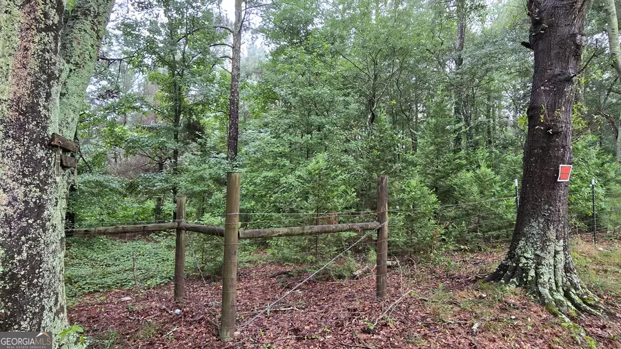0 Bob Holman Road, Athens, GA 30607 - #2