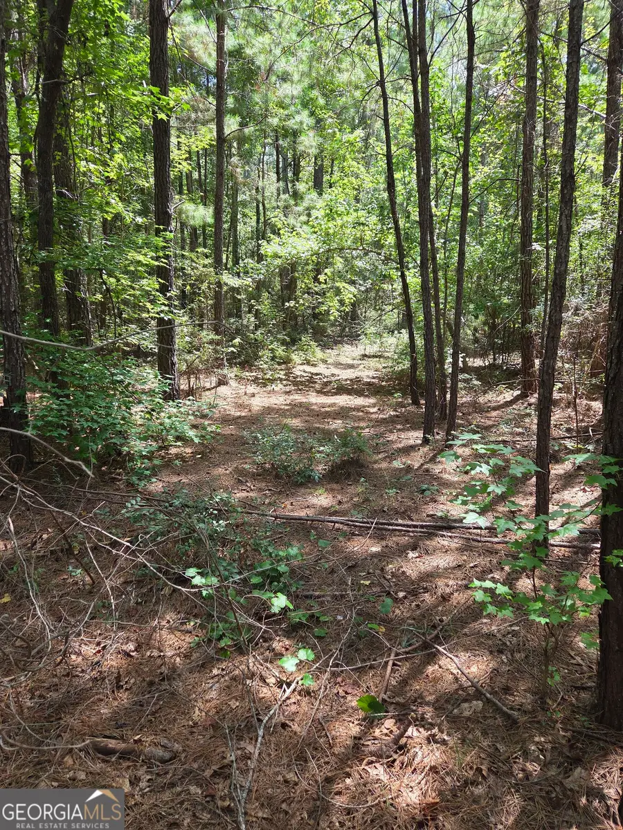 3767 Donnan Road, Macon, GA 31217 - #2