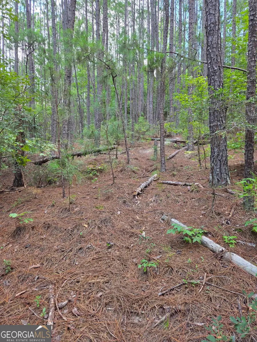 3767 Donnan Road, Macon, GA 31217 - #3