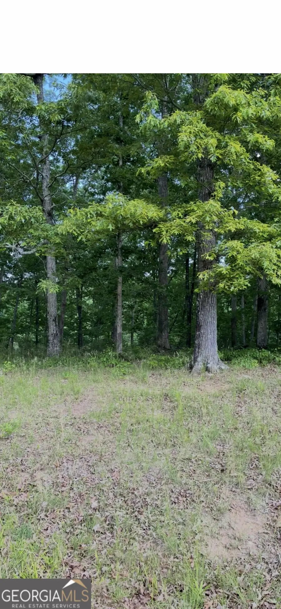 108 Timber Ridge Drive, Griffin, GA 30224 - #3