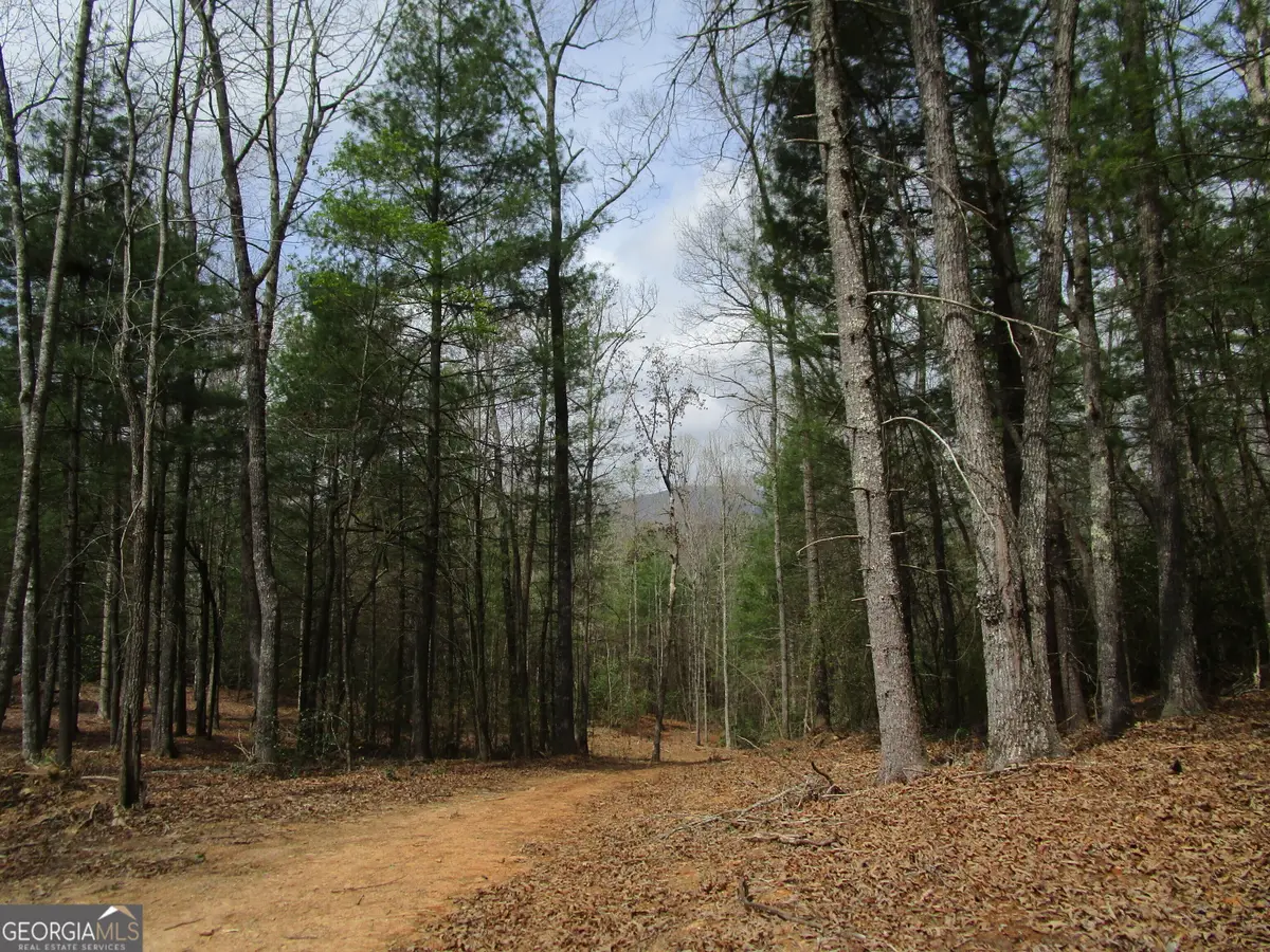 0 East New Hope Road #TRACT B, Ellijay, GA 30536 - #1