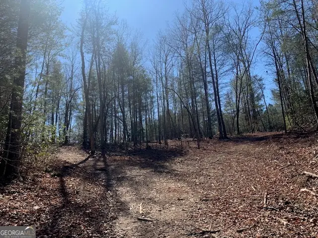 0 East New Hope Road #TRACT A, Ellijay, GA 30536 - #2