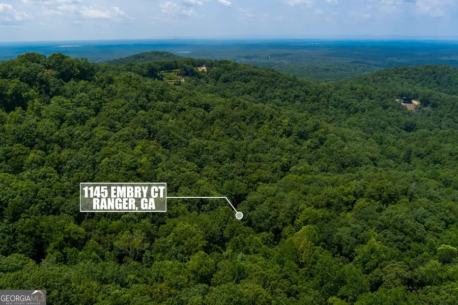 1145 Embry Court, Ranger, GA 30734 - #2