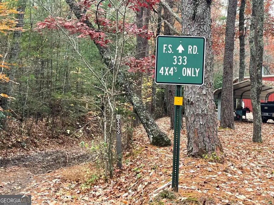 19 Ladybug Lane, Blue Ridge, GA 30513 - #3