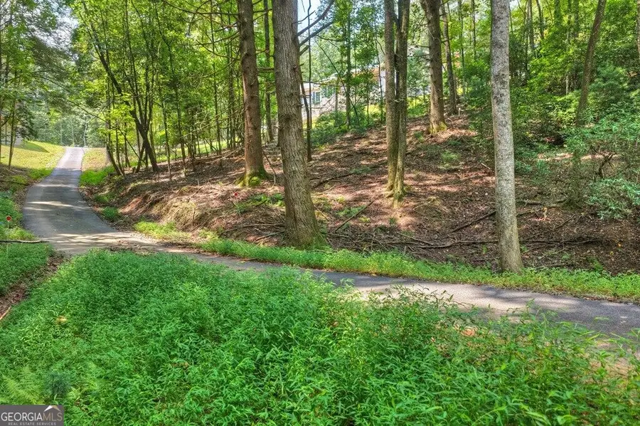 607 Satsuma Court S, Ellijay, GA 30540 - #3