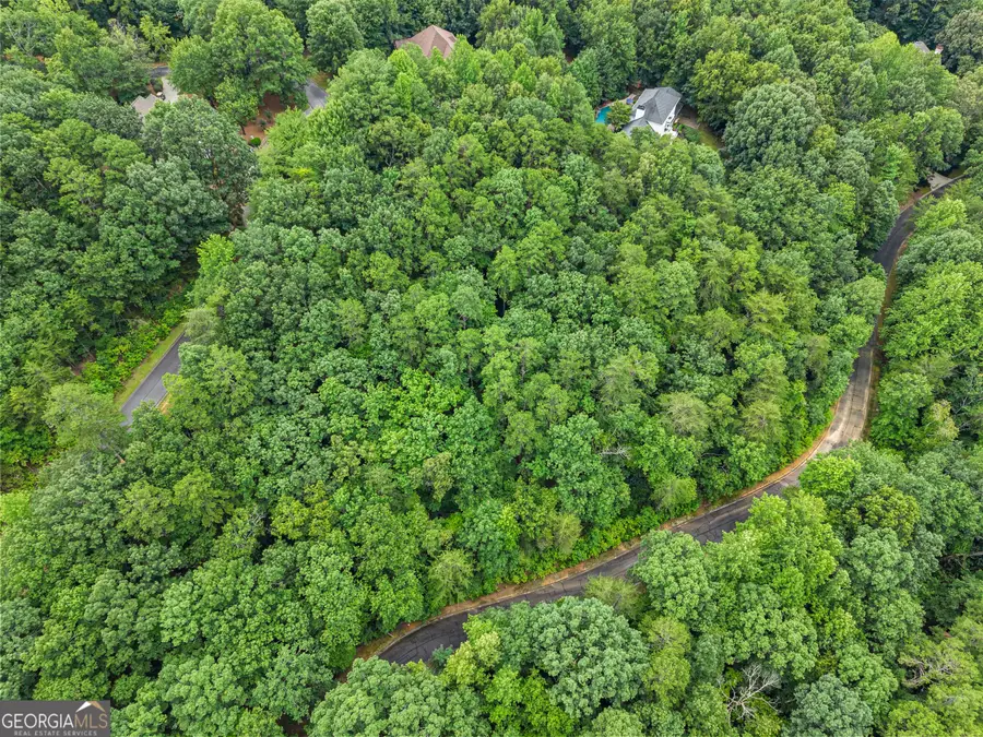 349 Golden Lane, Clarkesville, GA 30523 - #2