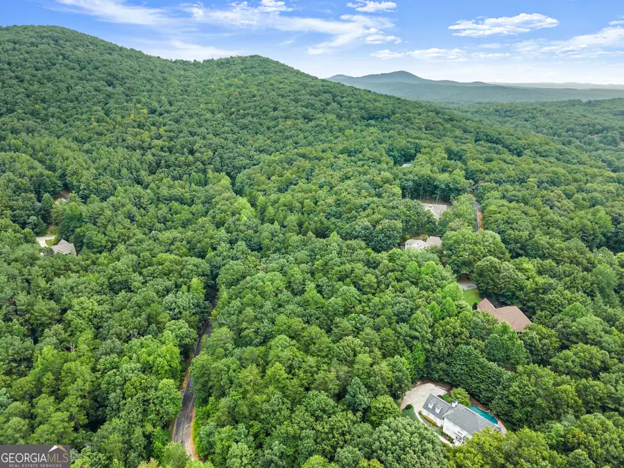 349 Golden Lane, Clarkesville, GA 30523 - #3