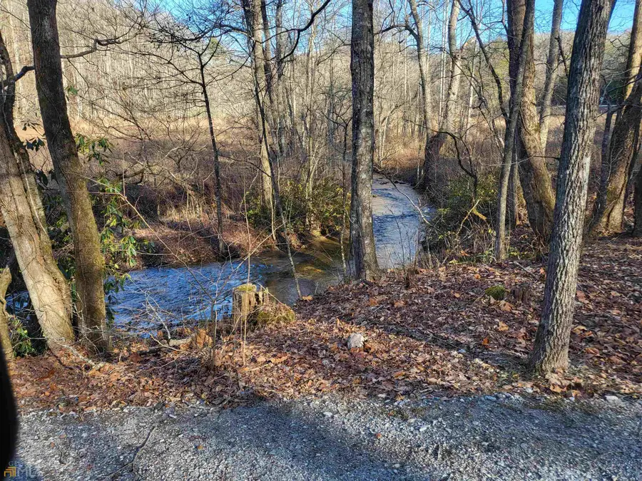 59 AC Hwy 356 & Skylake Road, Sautee Nacoochee, GA 30571 - #3