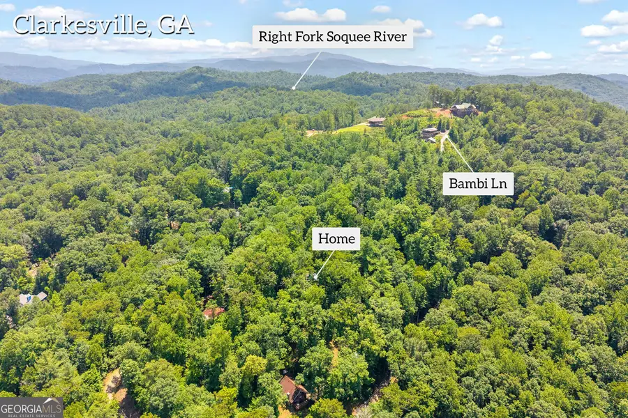 185 Pope Dickson Lane, Clarkesville, GA 30523 - #3