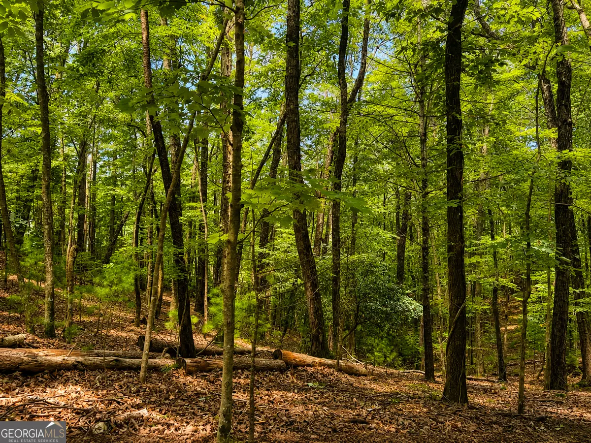 J208 Pine Ridge Road, Ellijay, GA 30536 - #1