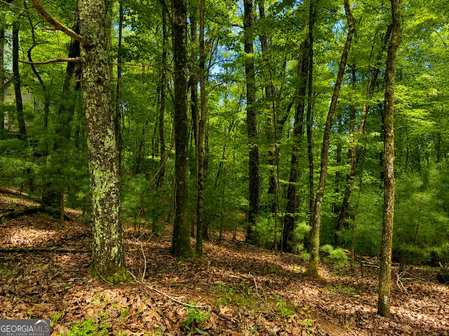 J208 Pine Ridge Road, Ellijay, GA 30536 - #2