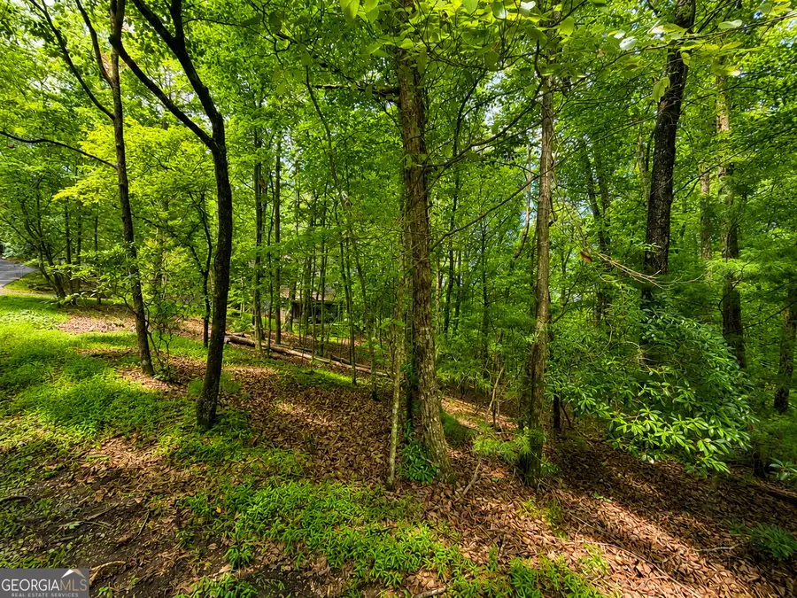 J208 Pine Ridge Road, Ellijay, GA 30536 - #3