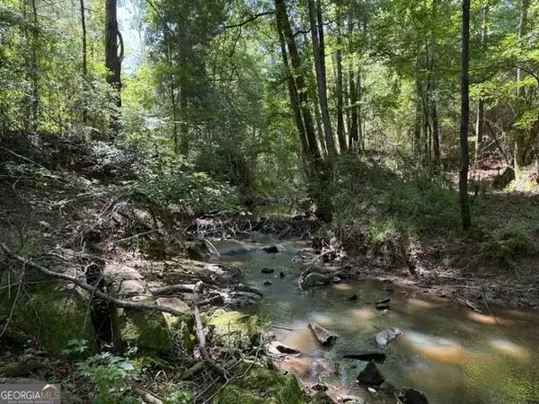 0 Kendricks Mill Road, Crawfordville, GA 30631