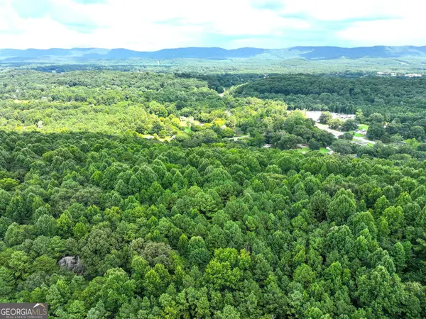74 +/- Acres On Raccoon Road, Summerville, GA 30747