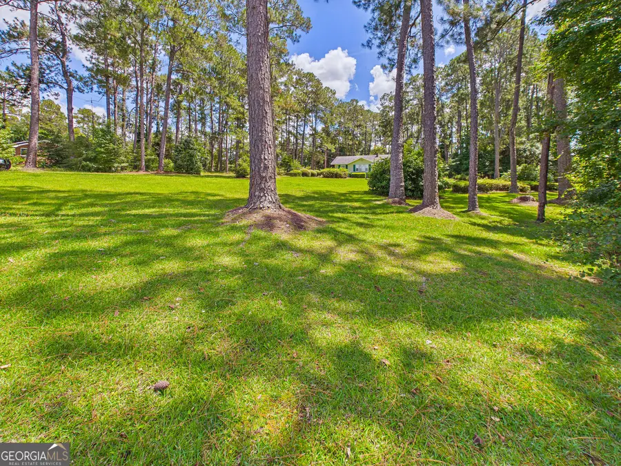 770 Soperton Highway, Eastman, GA 31023 - #3