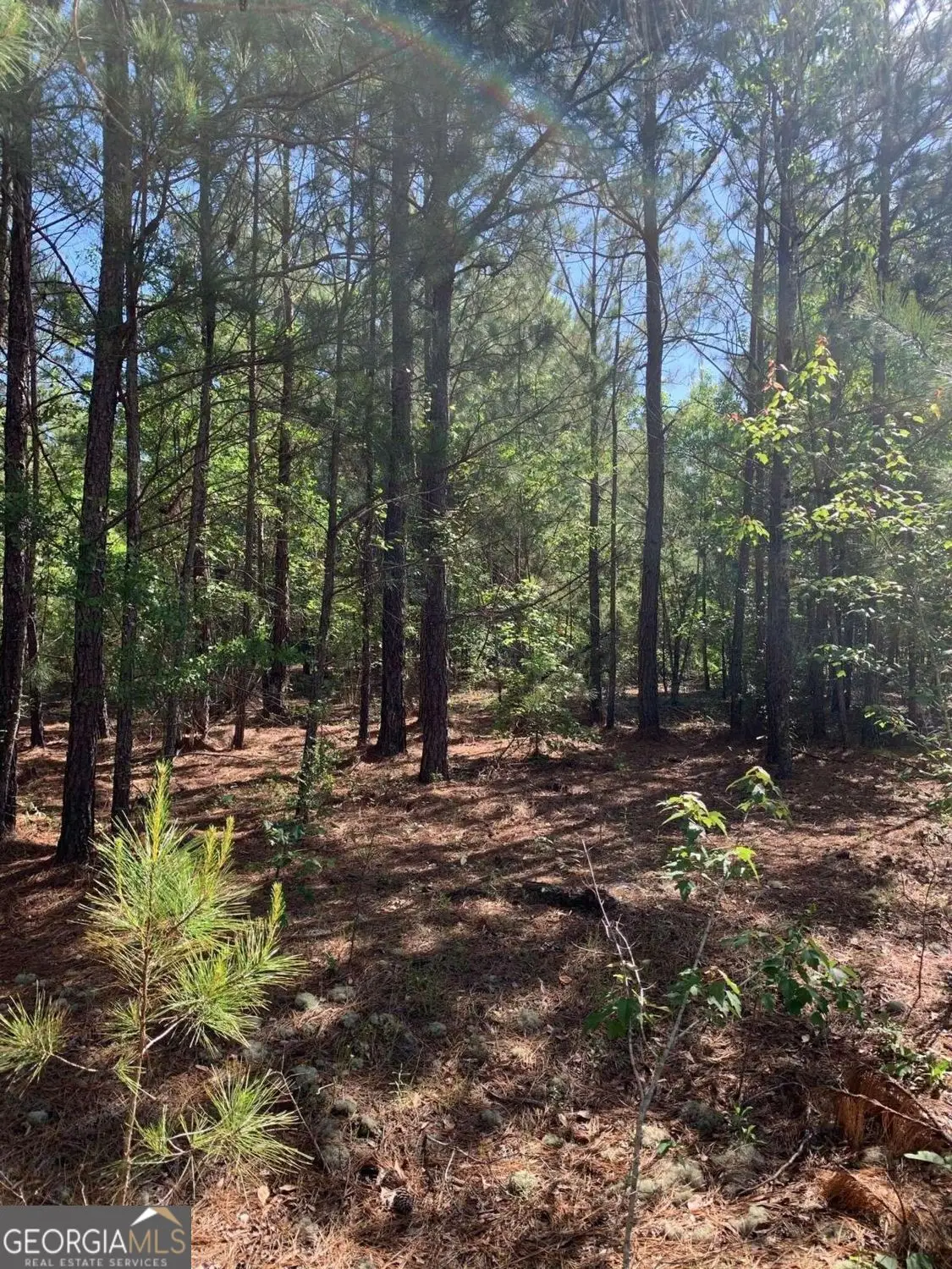 0 Pollett Road #LOT 29, Bartow, GA 30413 - #1
