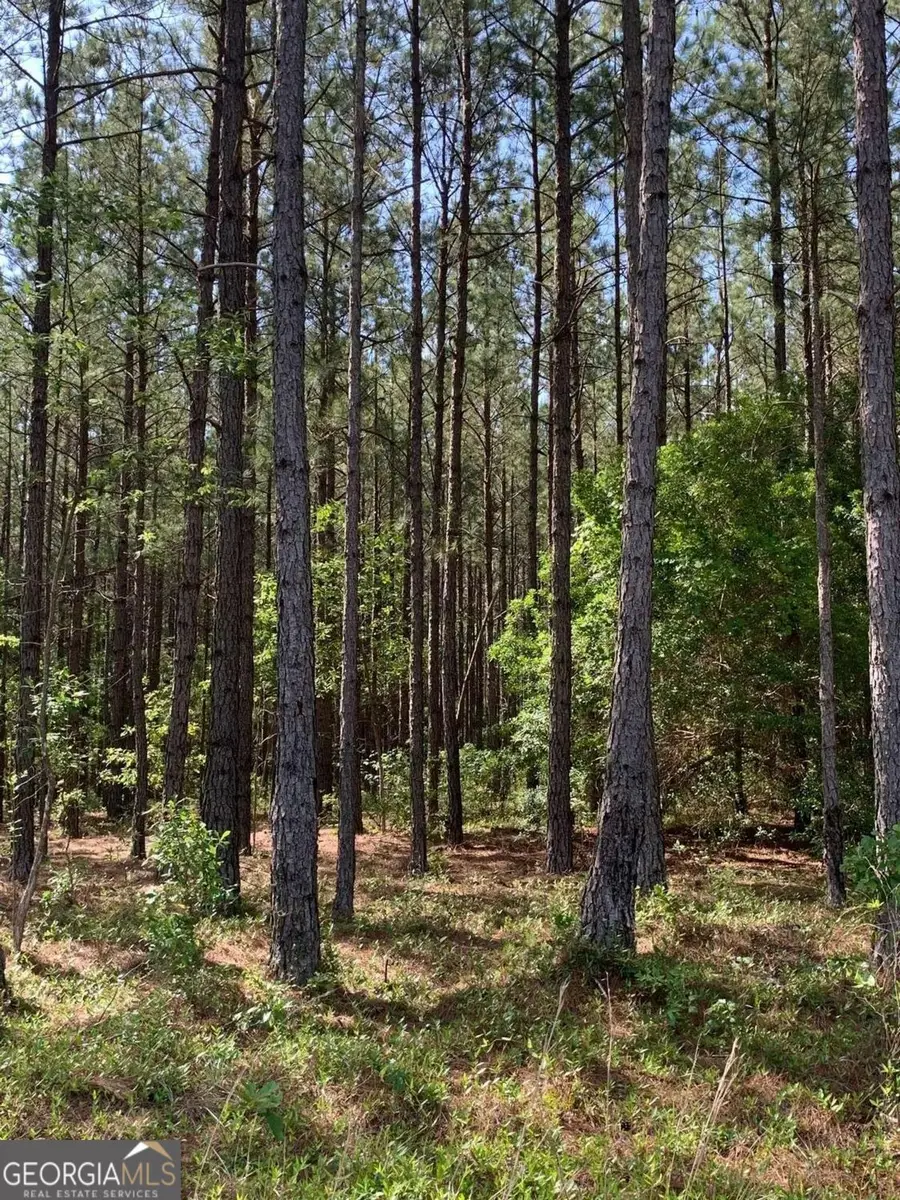 0 Pollett Road #LOT 29, Bartow, GA 30413 - #3