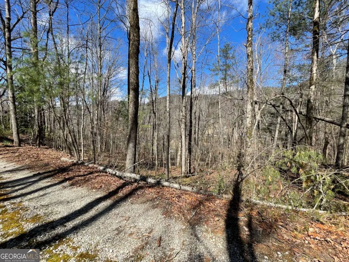 0 Bridge Creek Road, Tiger, GA 30576 - #1