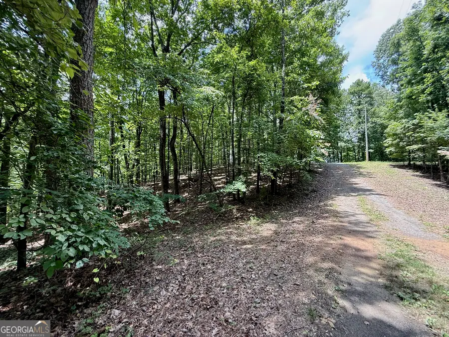 LOT 1065 Mayfield Lane, Ranger, GA 30734 - #2