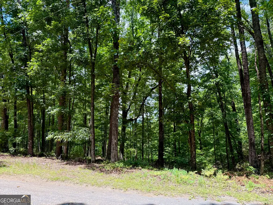 LOT 1065 Mayfield Lane, Ranger, GA 30734 - #3