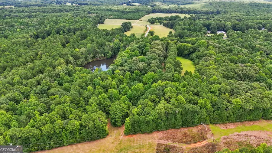 212 Joe Lane Road, Jackson, GA 30233 - #2
