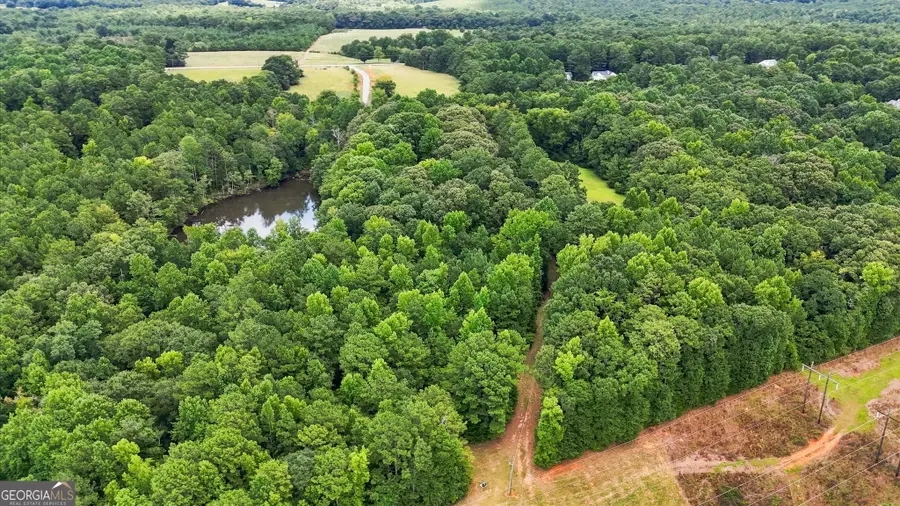 212 Joe Lane Road, Jackson, GA 30233 - #3
