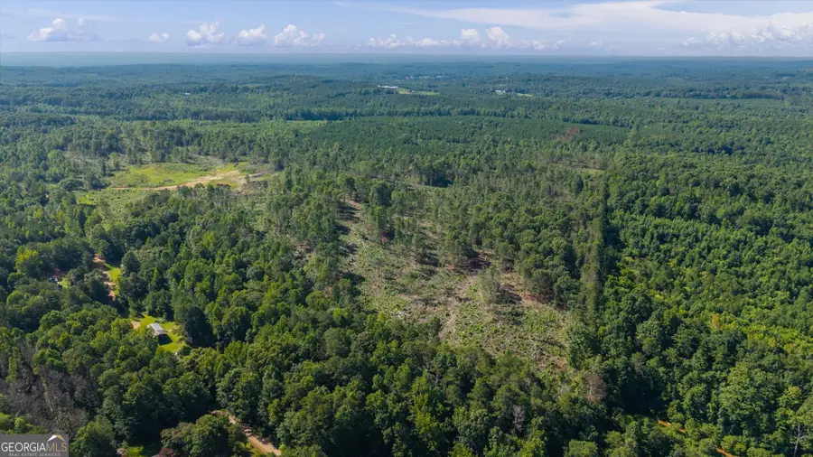 0 County Road 404 #TRACT 2, Heflin, AL 36264 - #2