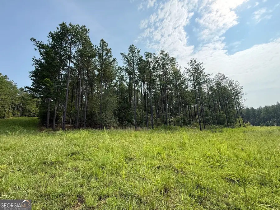 92 Lillian Strong Road, Carlton, GA 30627 - #2
