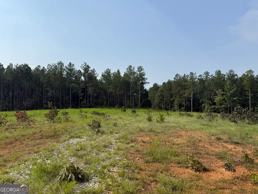92 Lillian Strong Road, Carlton, GA 30627 - #3