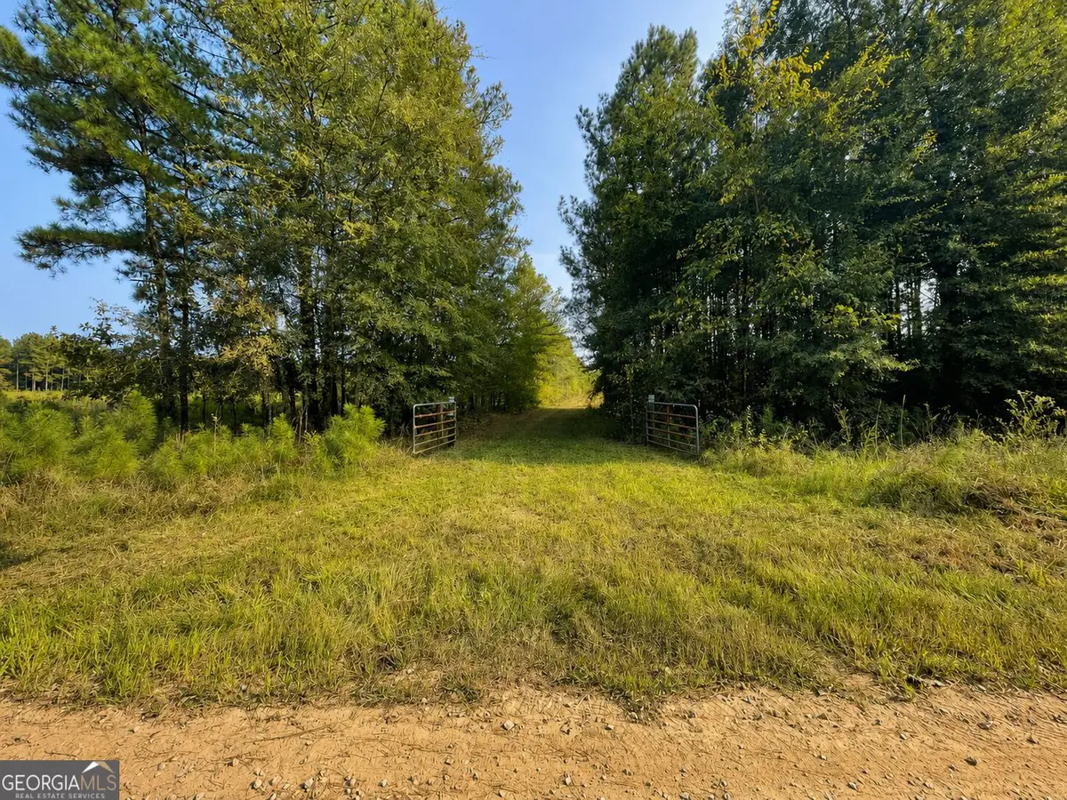 592 Arnold Caldwell Road, Carlton, GA 30627 - #1