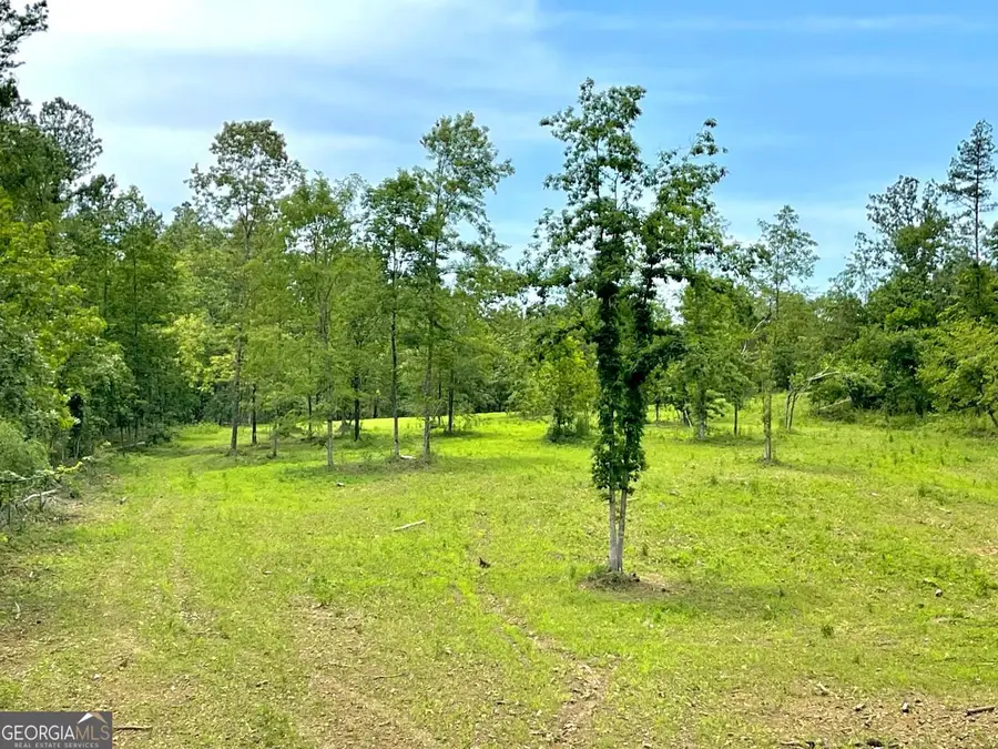 592 Arnold Caldwell Road, Carlton, GA 30627 - #2