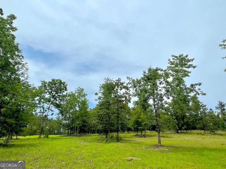 592 Arnold Caldwell Road, Carlton, GA 30627 - #3