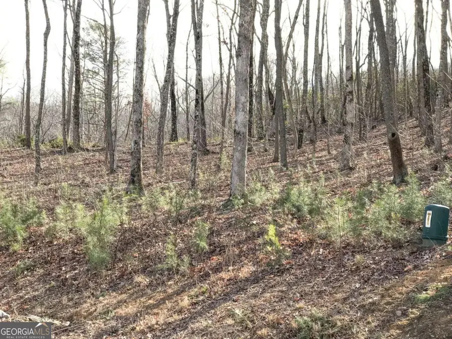 179 Trailwood Drive, Ellijay, GA 30536 - #2