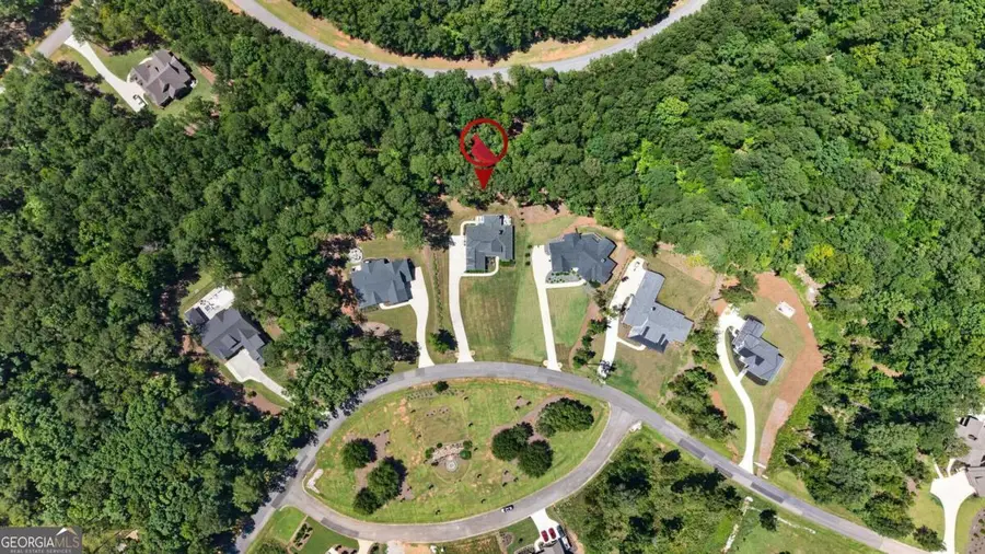 2171 Osprey Poynte, Greensboro, GA 30642 - #2