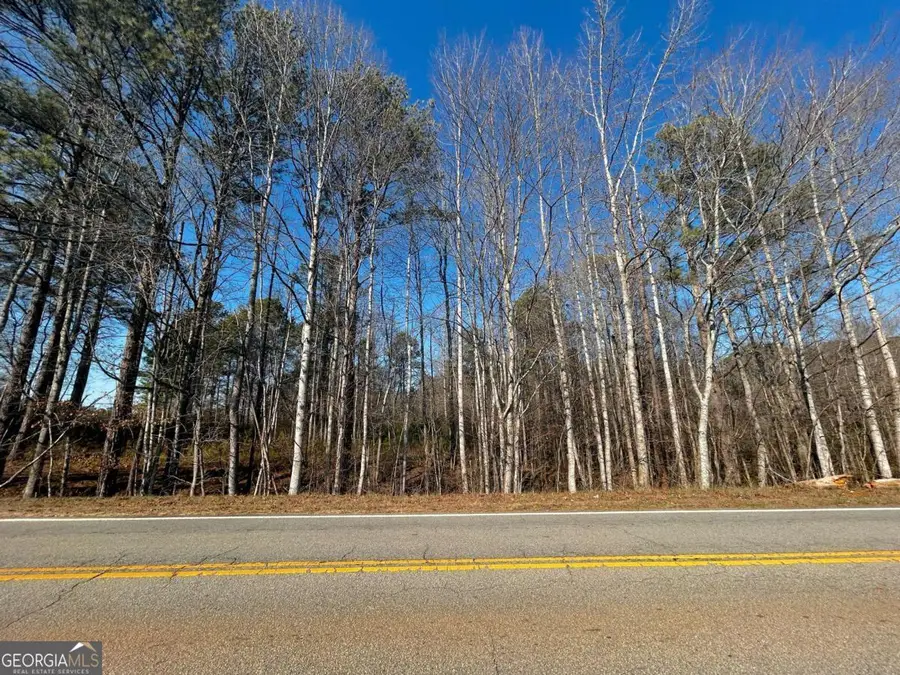 2013 Lake Paradise Road, Villa Rica, GA 30180 - #2