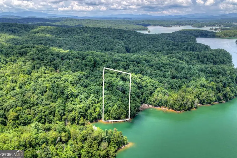 LT 60 Necowa Cove Overlook, Blue Ridge, GA 30513 - #2