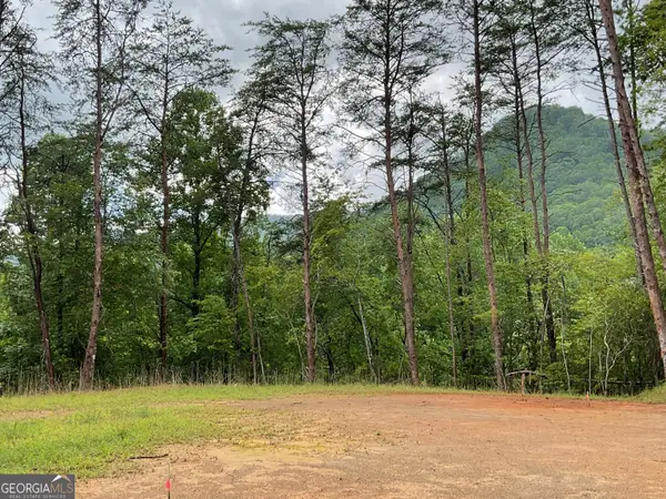 675 Big Creek Road, Otto, NC 28763