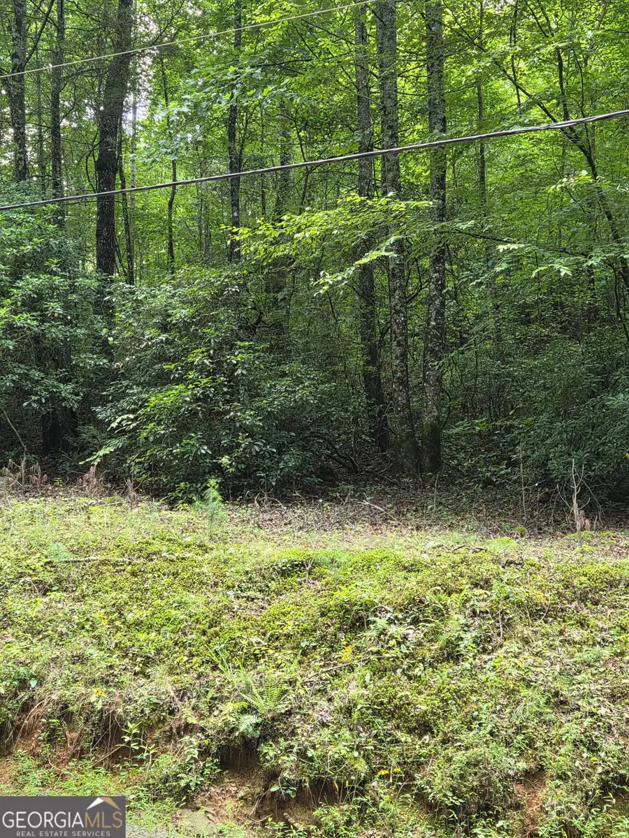 00 Chopped Oak, Ellijay, GA 30540 - #2