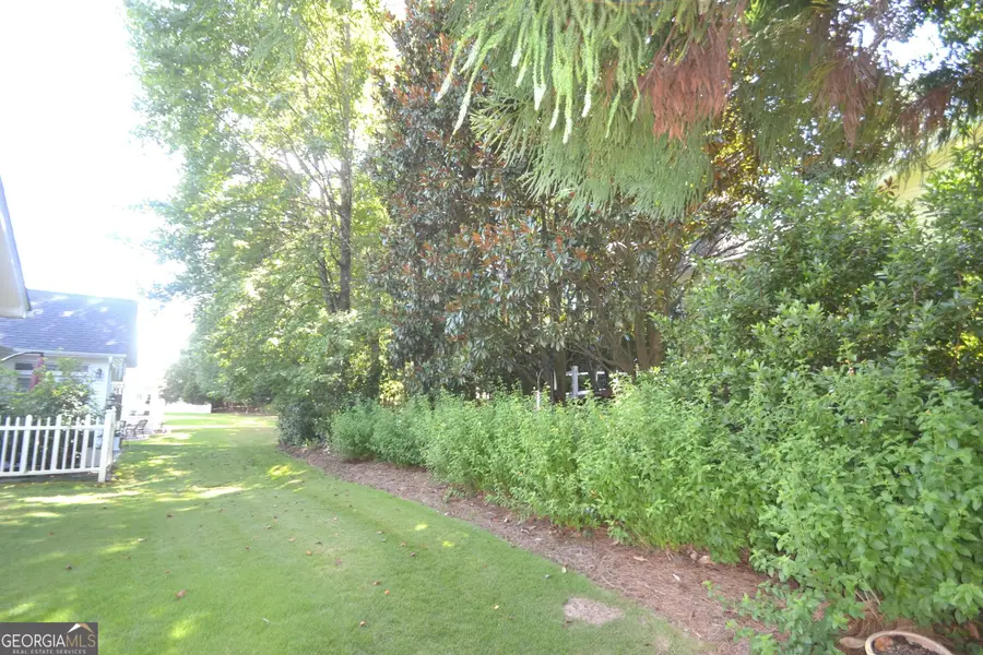 36 Ginger Gold Drive, Newnan, GA 30265 - #3