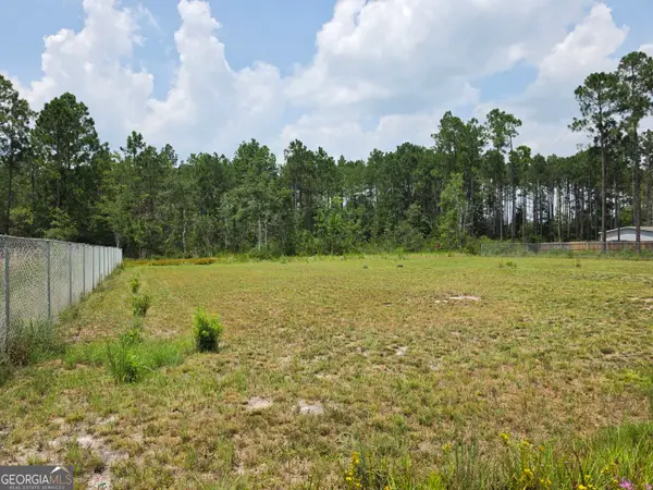 1.37 AC Bill Wells Road Ne, Ludowici, GA 31316