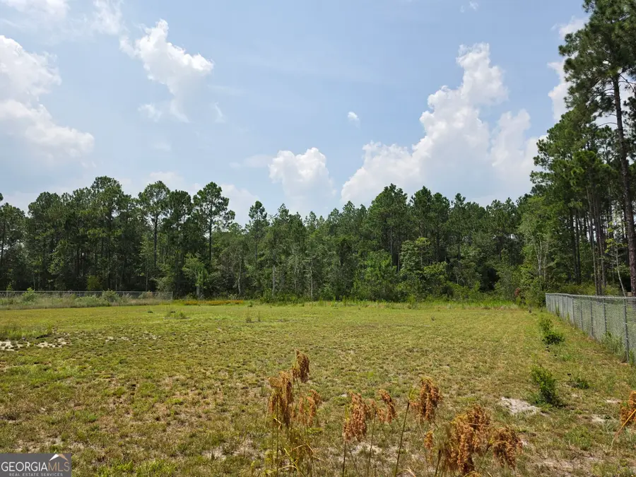 1.37 AC Bill Wells Road Ne, Ludowici, GA 31316 - #2