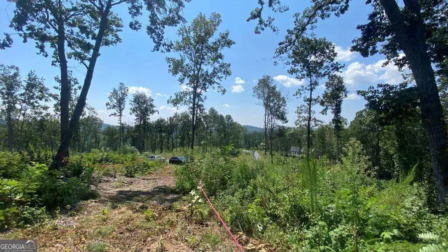 1084 Highgrove Drive #276, Talking Rock, GA 30175 - #2